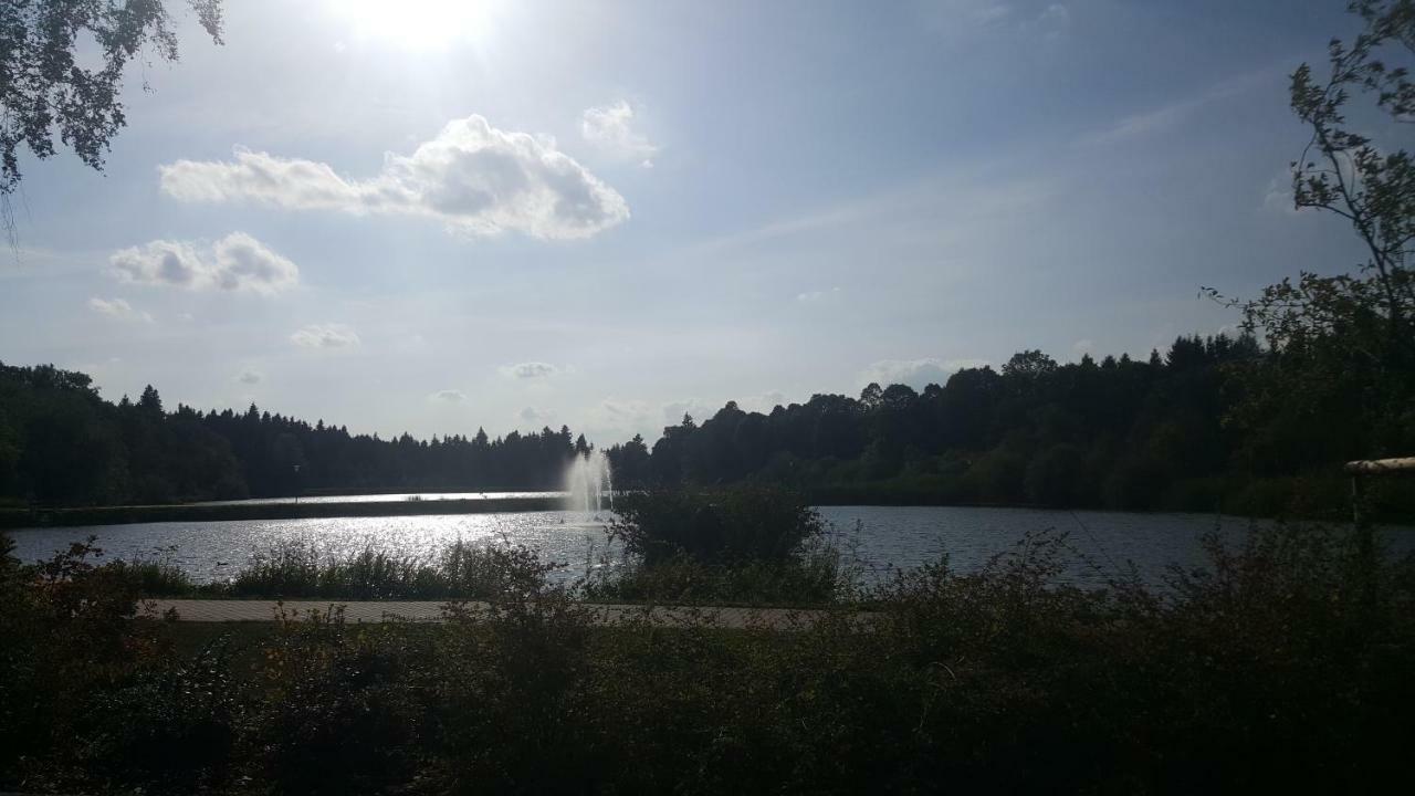 Hahnenklee Ferienpark 1-411 กอสลาร์ ภายนอก รูปภาพ