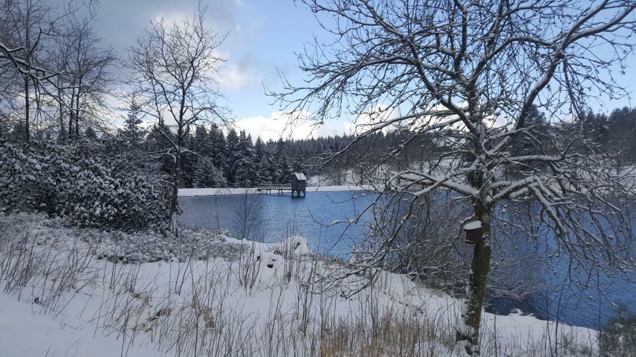 Hahnenklee Ferienpark 1-411 กอสลาร์ ภายนอก รูปภาพ